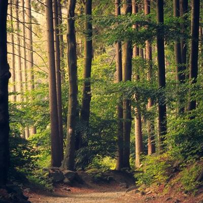 幸运彩票app下载截图